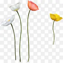 创意小花植物花朵-空若网 创意小花植物花朵-空若网