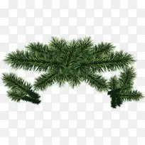 高清创意圣诞节元素绿色植物-空若网 高清创意圣诞节元素绿色植物-空若网