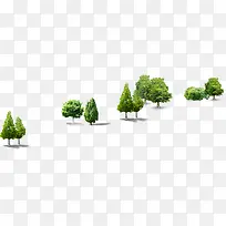 高清摄影创意绿色植物树木-空若网 高清摄影创意绿色植物树木-空若网