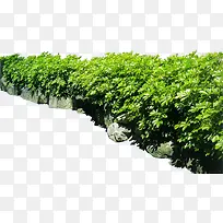 高清创意摄影绿色草本植物花坛-空若网 高清创意摄影绿色草本植物花坛-空若网