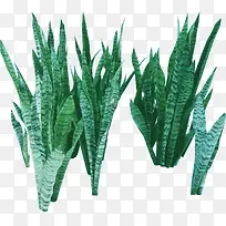 高清植物创意设计-空若网 高清植物创意设计-空若网