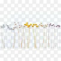 ֲ�ﱳ��-������