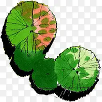 高清创意绿色草本植物-空若网 高清创意绿色草本植物-空若网