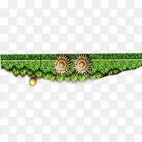 高清创意不规则草本植物-空若网 高清创意不规则草本植物-空若网