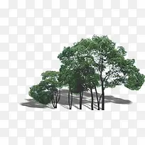 高清创意摄影绿色植物-空若网 高清创意摄影绿色植物-空若网