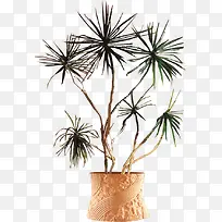 �ֻ澰��ֲ�ﴴ��-������