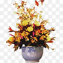 �ֻ滨�ܴ���ֲ��-������