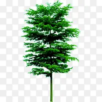 高清创意绿色植物树木-空若网 高清创意绿色植物树木-空若网