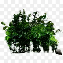 绿色创意高清草本植物-空若网 绿色创意高清草本植物-空若网