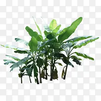 创意高清绿色植物树叶-空若网 创意高清绿色植物树叶-空若网