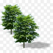 ������Ӱ��ɫֲ��-������