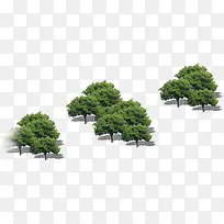 高清创意合成摄影绿色植物-空若网 高清创意合成摄影绿色植物-空若网