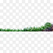 绿植美景植物创意-空若网 绿植美景植物创意-空若网