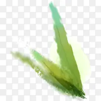 手绘艺术创意植物-空若网 手绘艺术创意植物-空若网