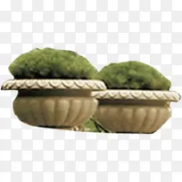 ��Ӱ������ɫ�ݱ�ֲ�ﻨ̳-������