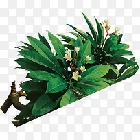 创意绿色植物小花-空若网 创意绿色植物小花-空若网