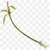 创意植物电商创意-空若网 创意植物电商创意-空若网