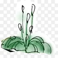 手绘创意绿色植物-空若网 手绘创意绿色植物-空若网