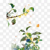 ����ӫ��ֲ��廭-������