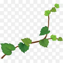 绿色时尚创意花藤植物-空若网 绿色时尚创意花藤植物-空若网