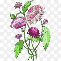 创意蒲公英-空若网 创意蒲公英-空若网