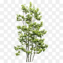 创意摄影植物园林设计-空若网 创意摄影植物园林设计-空若网