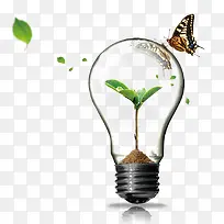 创意灯泡植物-空若网 创意灯泡植物-空若网