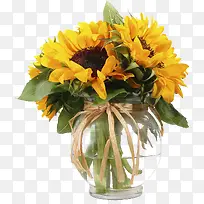 高清创意植物向日葵-空若网 高清创意植物向日葵-空若网