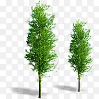 创意摄影绿色的植物效果-空若网 创意摄影绿色的植物效果-空若网