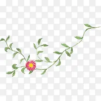 创意高清合成草本植物-空若网 创意高清合成草本植物-空若网