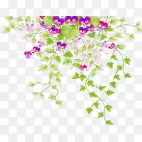 高清创意合成草本植物-空若网 高清创意合成草本植物-空若网