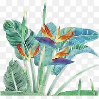 蓝色创意植物手绘电商装饰-空若网 蓝色创意植物手绘电商装饰-空若网