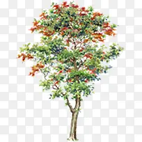 园林手绘创意植物-空若网 园林手绘创意植物-空若网