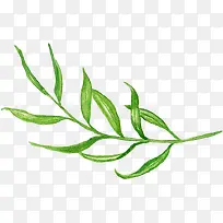 绿色创意植物手绘-空若网 绿色创意植物手绘-空若网