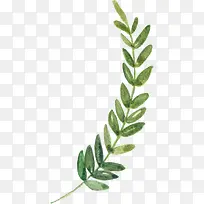 绿色植物创意设计-空若网 绿色植物创意设计-空若网