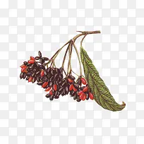 �������ϳ���Ӱֲ���ʵ-������