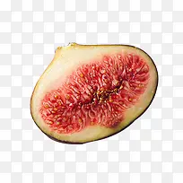 高清创意摄影合成效果植物-空若网 高清创意摄影合成效果植物-空若网