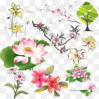 �ֻ滨�ز�-������