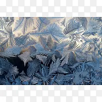 叶子材质背景-空若网 叶子材质背景-空若网