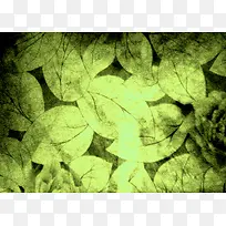 复古叶子背景-空若网 复古叶子背景-空若网