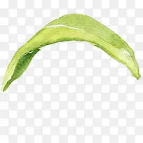 手绘叶子插画素材图片-空若网 手绘叶子插画素材图片-空若网