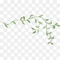 �ֻ�Ҷ�Ӳ廭�ز�-������