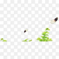 ��ɫֲ������ëҶ��-������