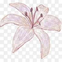 �ֻ�ٺϻ��廭ͼƬ-������