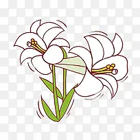 手绘百合花-空若网 手绘百合花-空若网