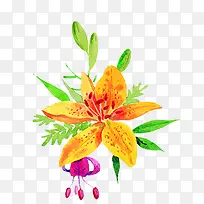 水彩百合花-空若网 水彩百合花-空若网