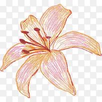 手绘百合花生日贺卡-空若网 手绘百合花生日贺卡-空若网