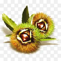 春天创意小草美景-空若网 春天创意小草美景-空若网