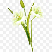 �ٺϻ��廭�������-������