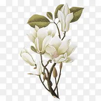 �ٺϻ��ز�-������